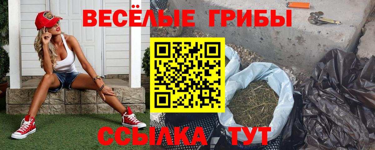 Псилоцибиновые грибы Cubensis Кимовск